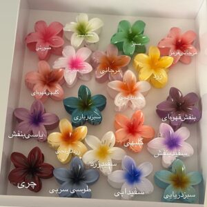 ست کلیپس پلومریا