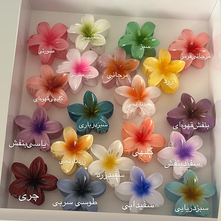 ست کلیپس پلومریا